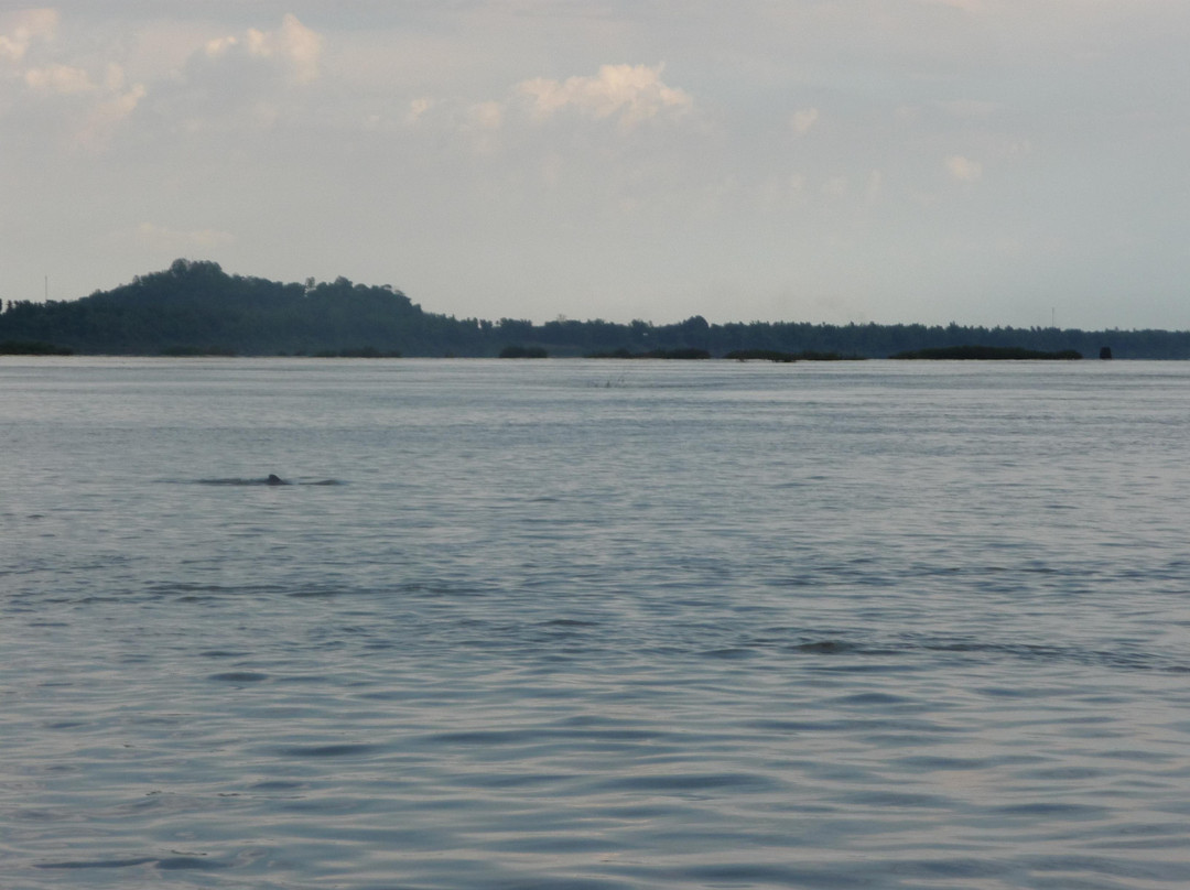 Mekong River景点图片