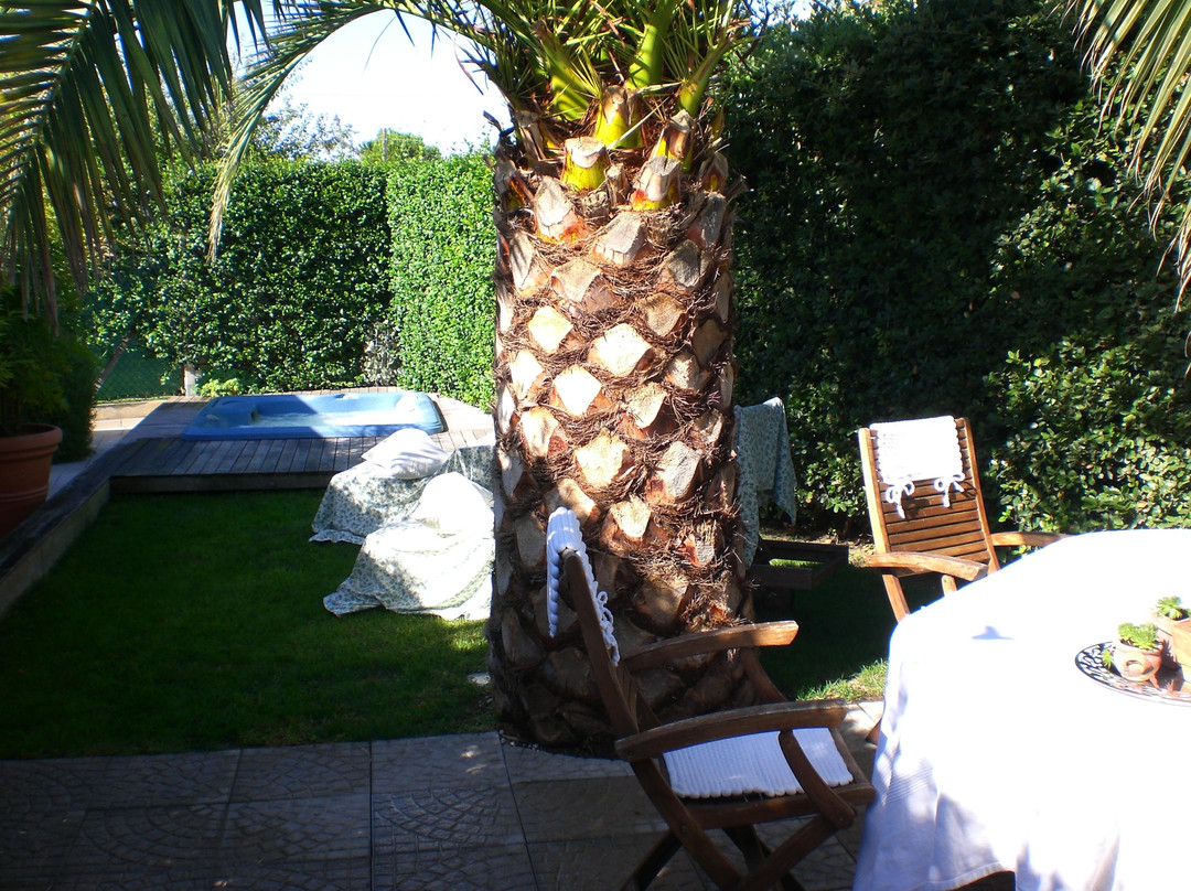 B&B Sogni Doro主图