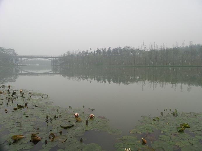 千灯湖-佛山市必去景点