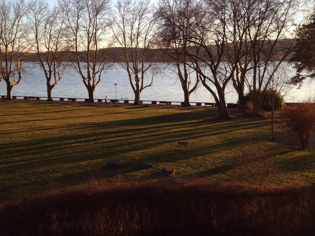 Hotel Iris am See garni主图