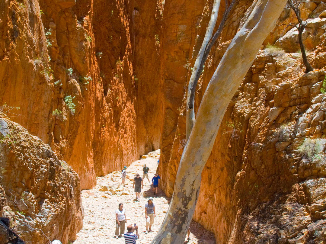 Tjoritja/West MacDonnell National Park-Red Centre必去景点