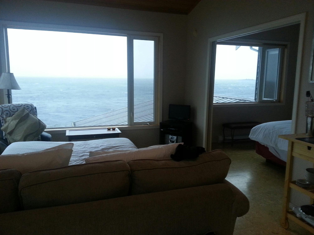 Saturna Island旅游攻略图片