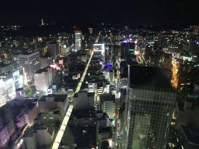 AER Lookout Terrace-仙台市必去景点