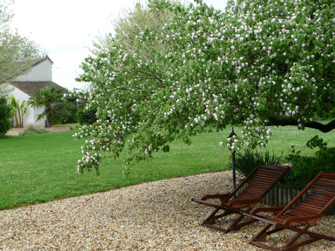 La Maison De Philomene主图