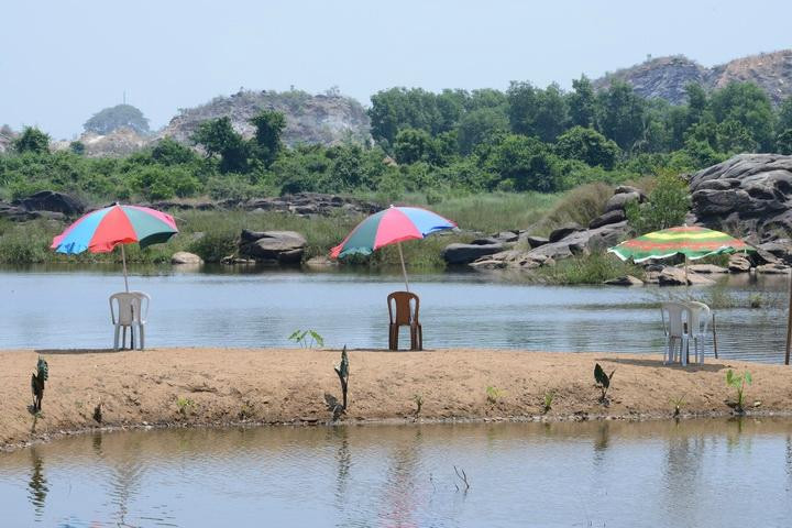 River View Farm Stay主图