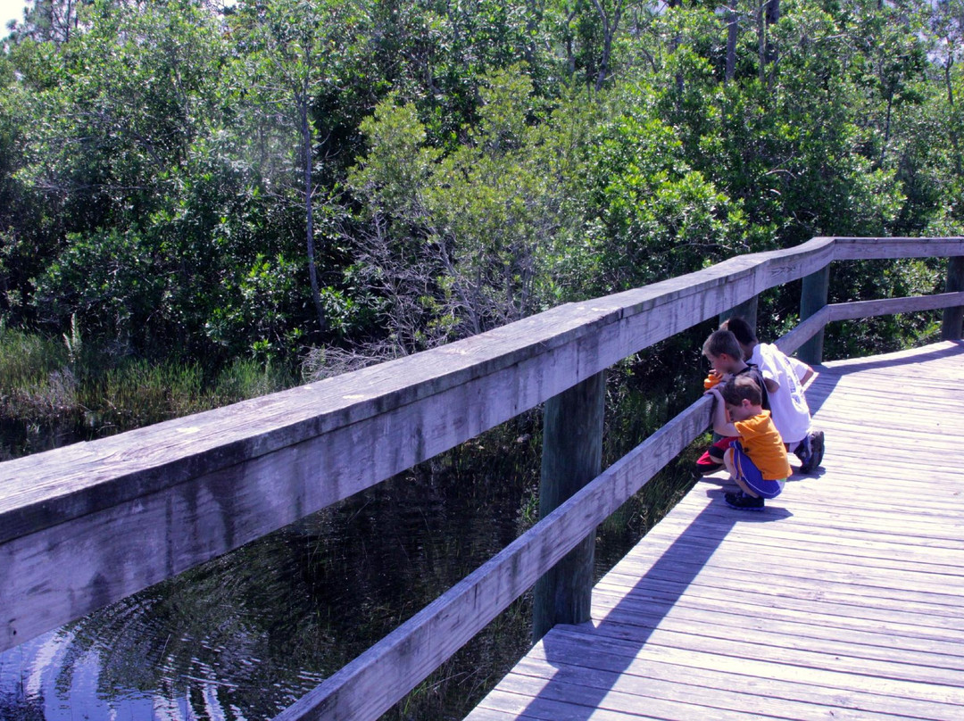 Spruce Bluff Preserve-圣露西港必去景点
