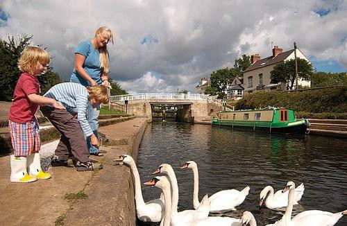 Trent Lock Canalside景点图片