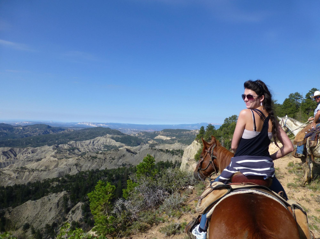 Mecham Outfitters-特罗皮克必去景点