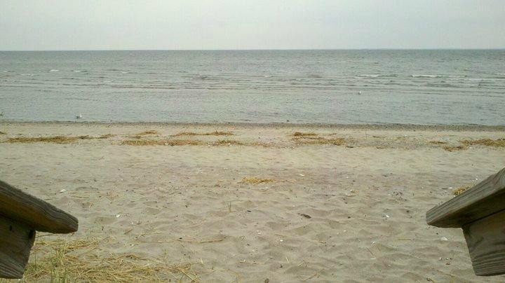 Walnut Beach-米尔福德必去景点