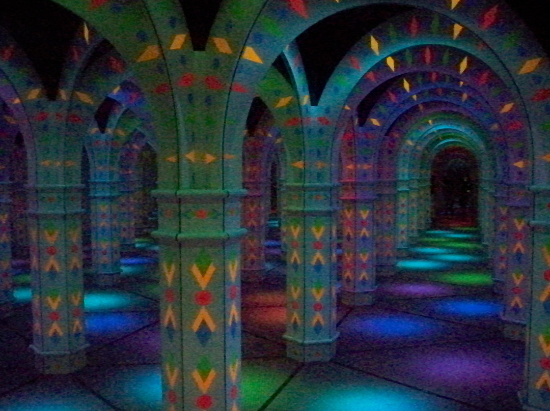 Amazing Mirror Maze-布卢明顿必去景点