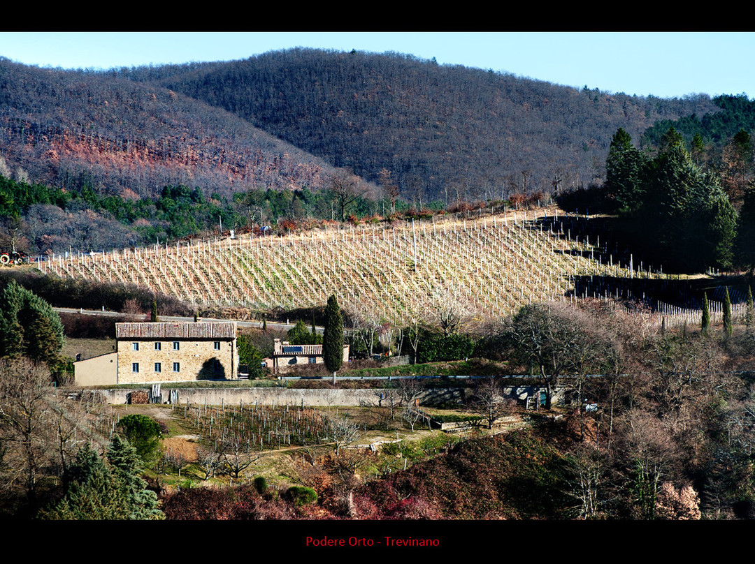Podere Orto Wine Country House