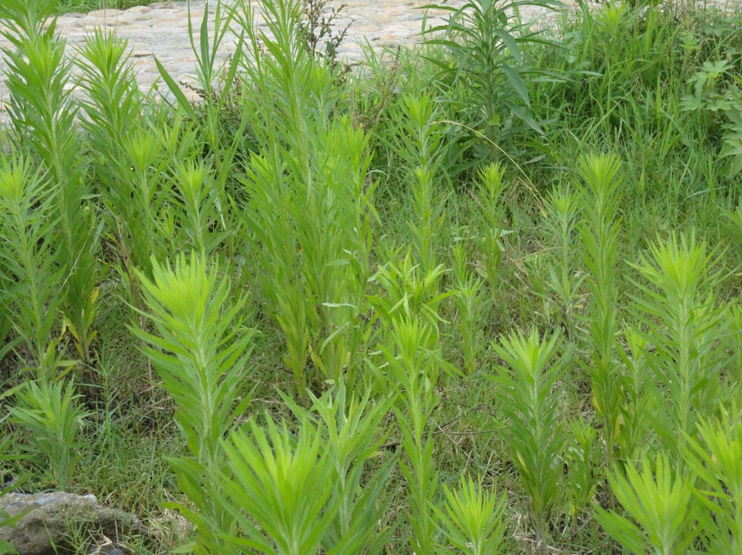 杭州新沙岛-富阳市必去景点