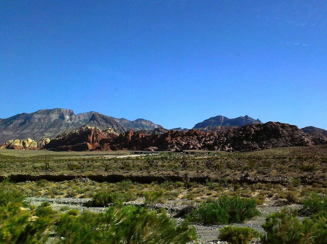 牛仔骑马游-拉斯维加斯必去景点