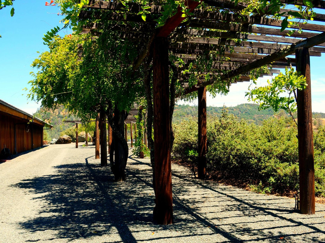 Langtry Farms Vineyard & Winery景点图片