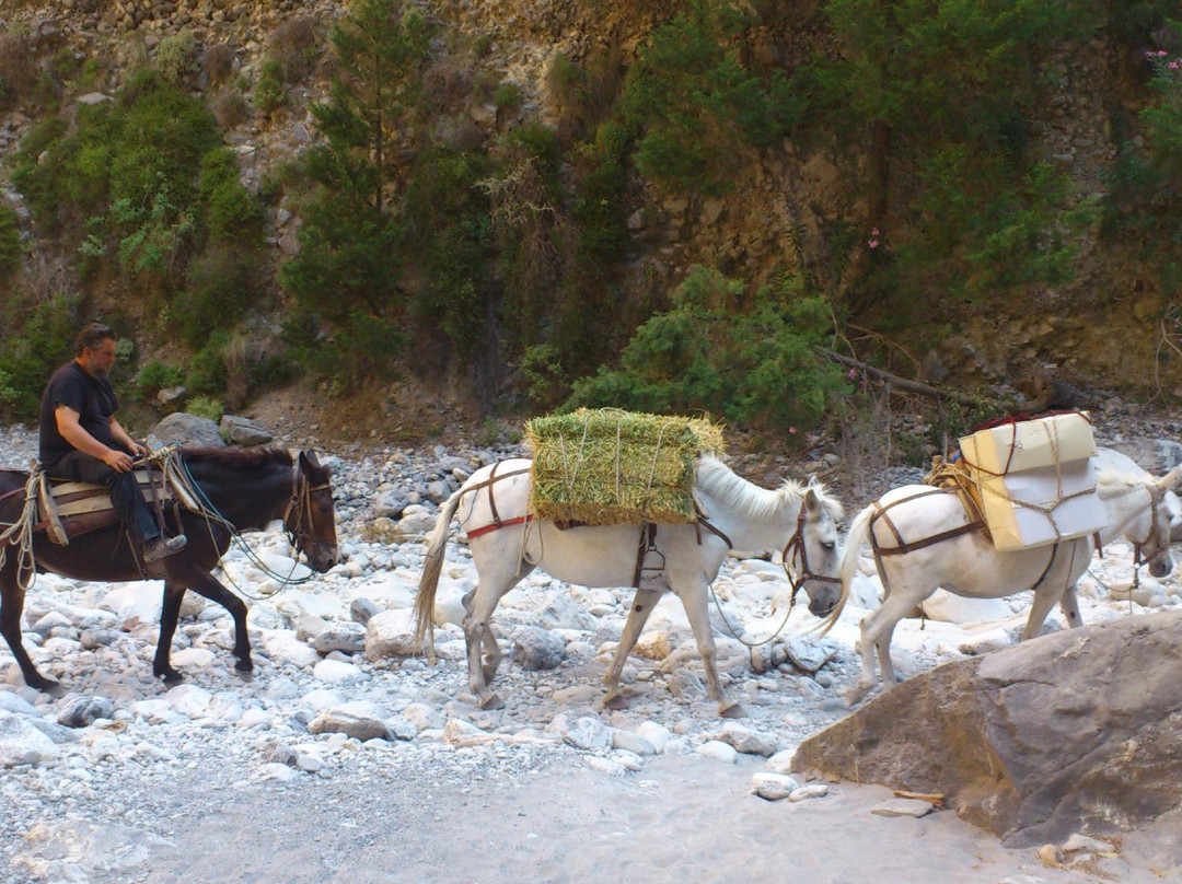 Samaria Gorge National Park景点图片