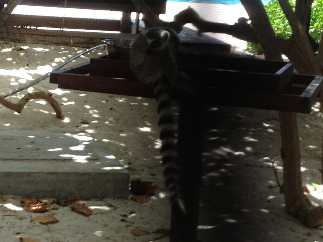 Sea It Clear Tours-North Sound必去景点