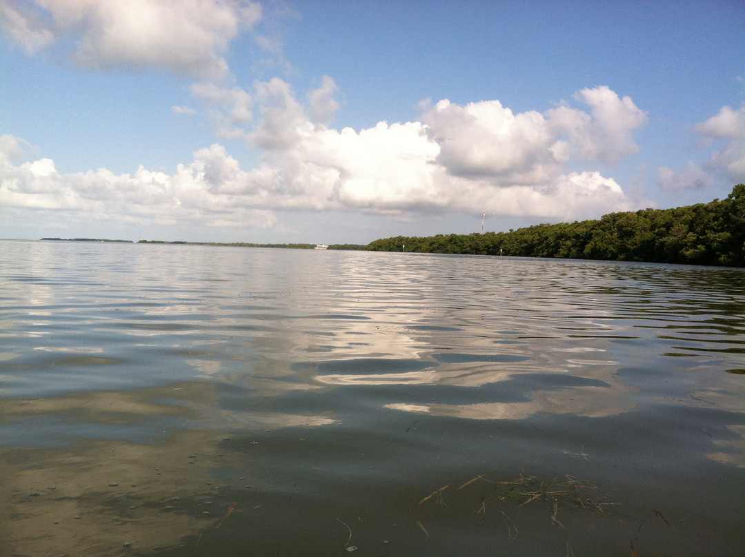 Snake Bight-大沼泽国家公园必去景点