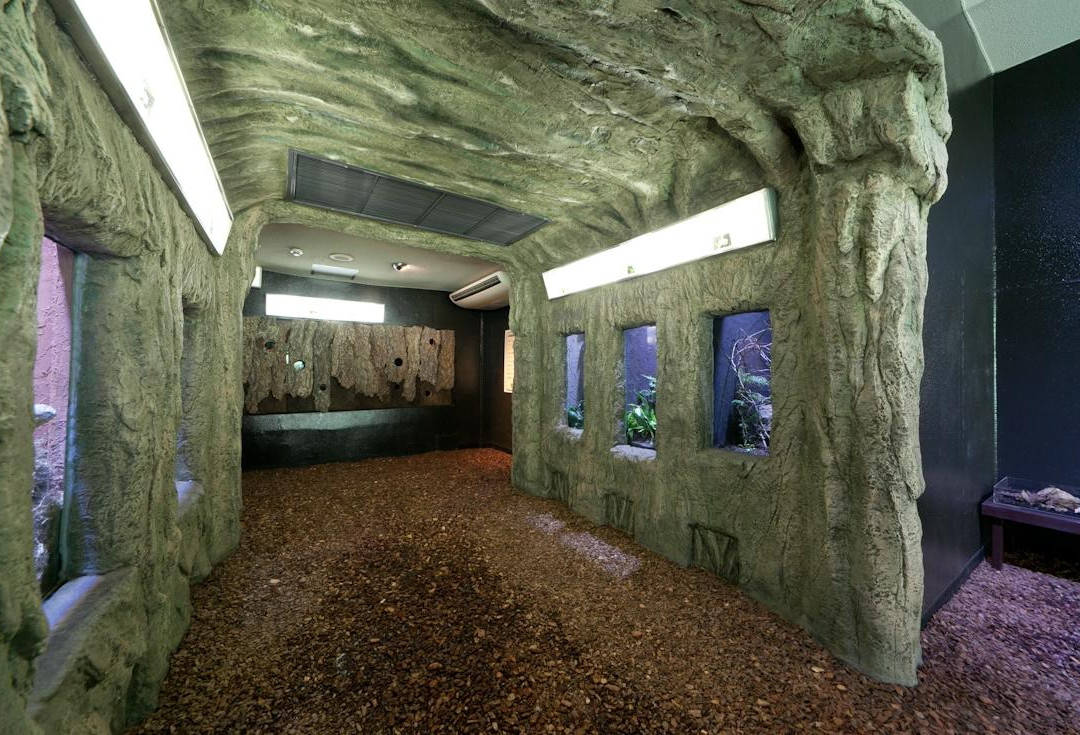 iZoo-河津町必去景点