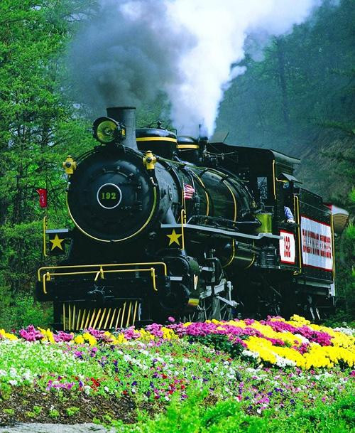 多莱坞公园-皮金福奇必去景点