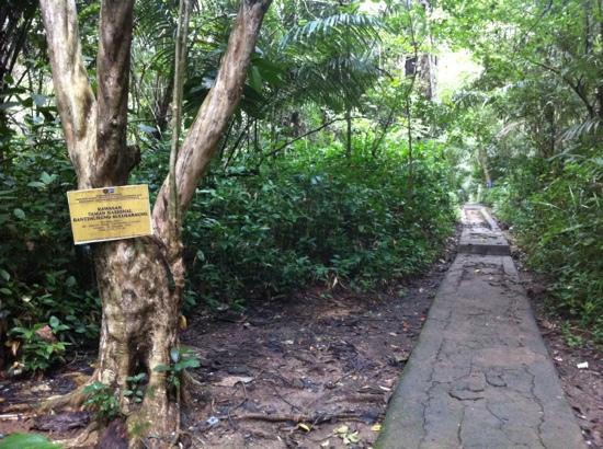 Bantimurung National Park景点图片