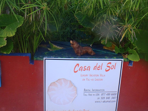 Nativo Tours-图伦必去景点