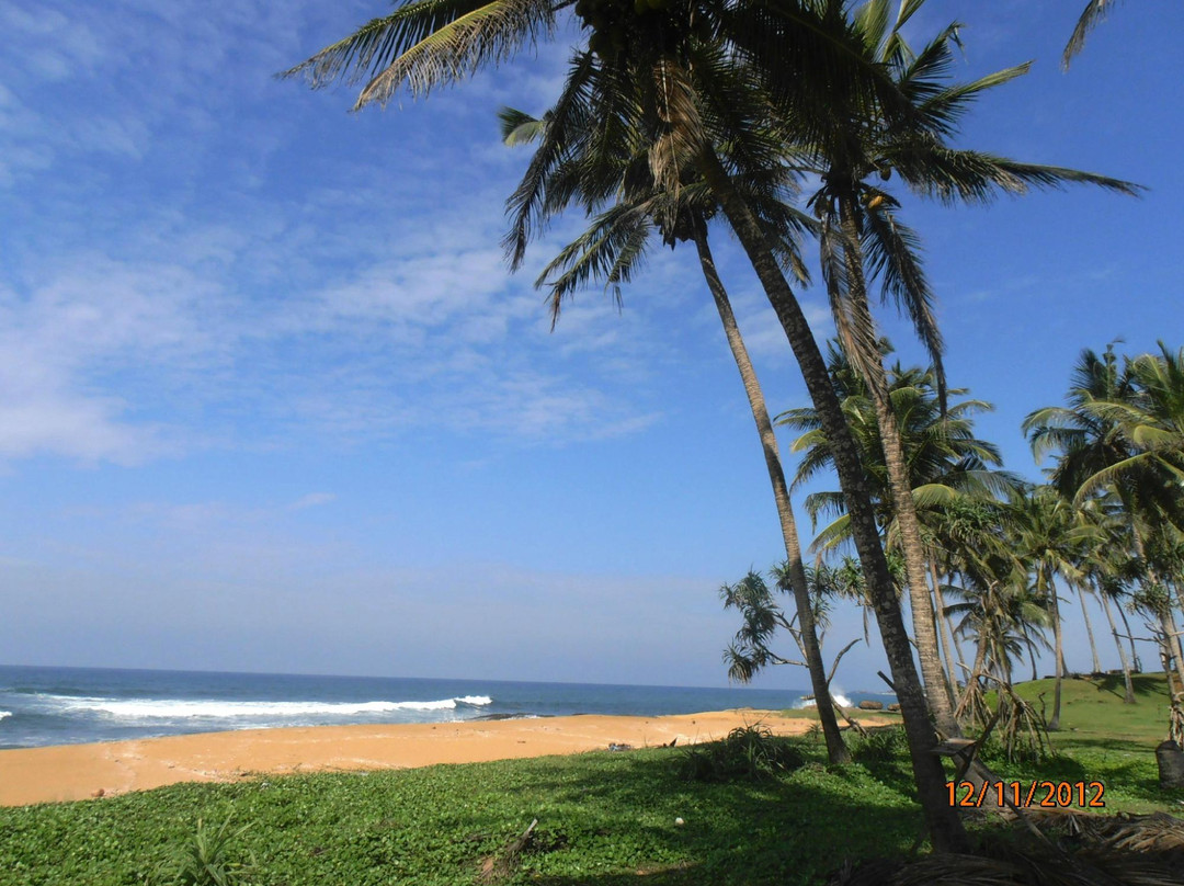 Elite Tours Sri Lanka-Pitiwella必去景点