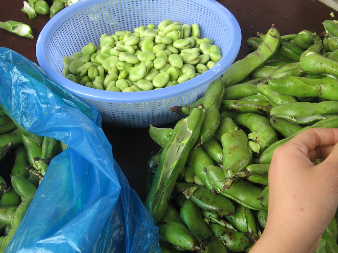 旺山农庄-苏州市必去景点