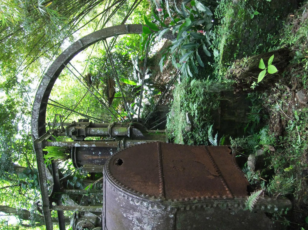Arnos Vale Waterwheel and Nature Park-多巴哥必去景点