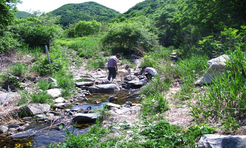 九龙川-海城市必去景点