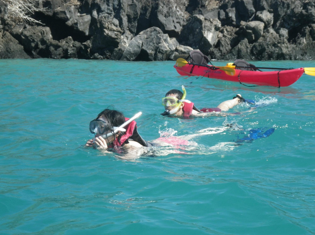 King Kayak Hawaii景点图片