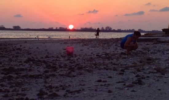 Indian Mound Park-恩格尔伍德必去景点