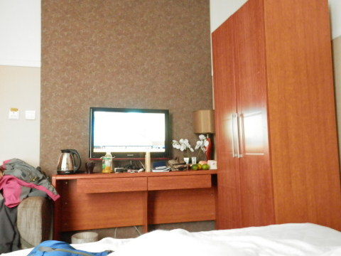 天通大酒店-客卧