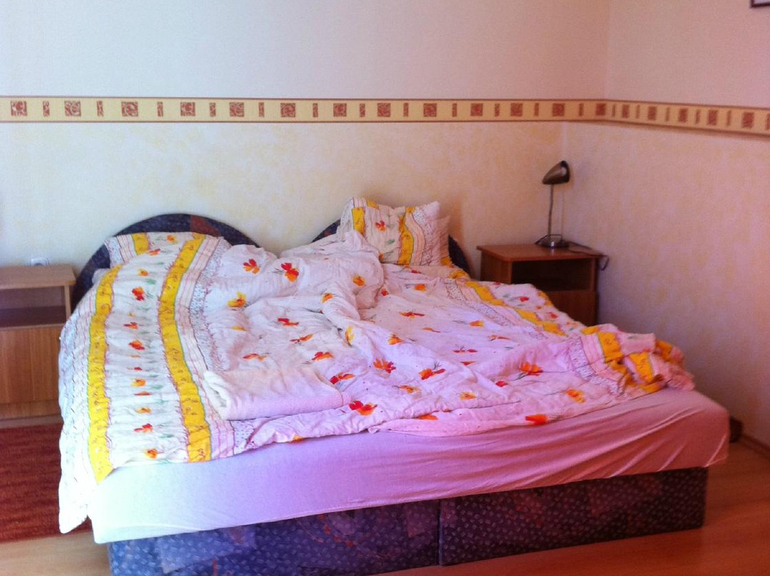 Balf酒店住宿-Polus Pension