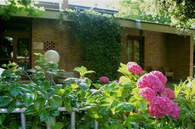 House of Hortensias主图