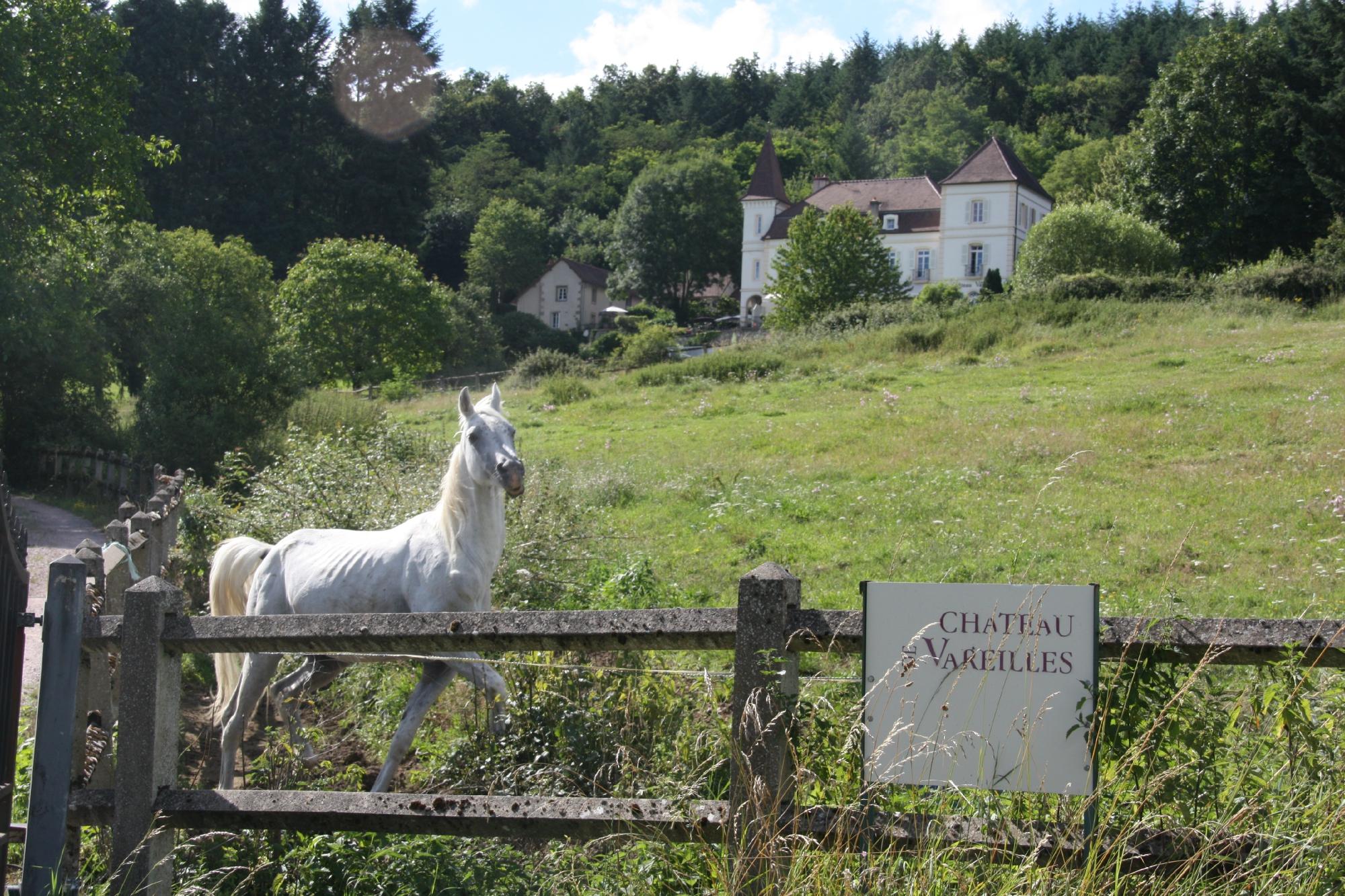 Chateau de Vareilles-浴室