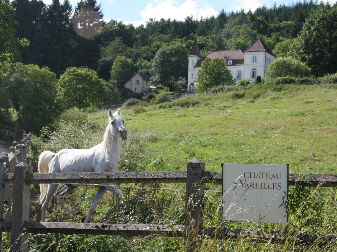 Chateau de Vareilles主图