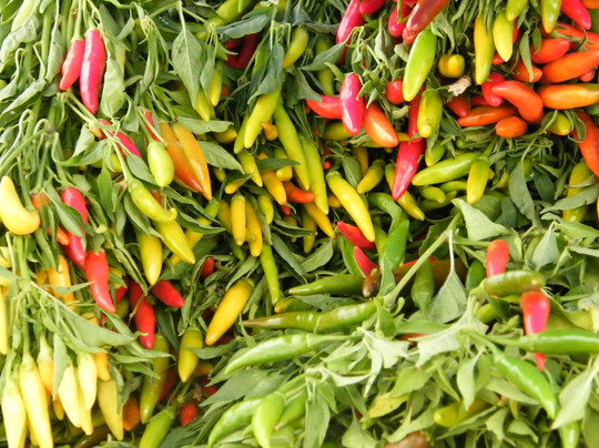 农夫市场-旧金山必去景点