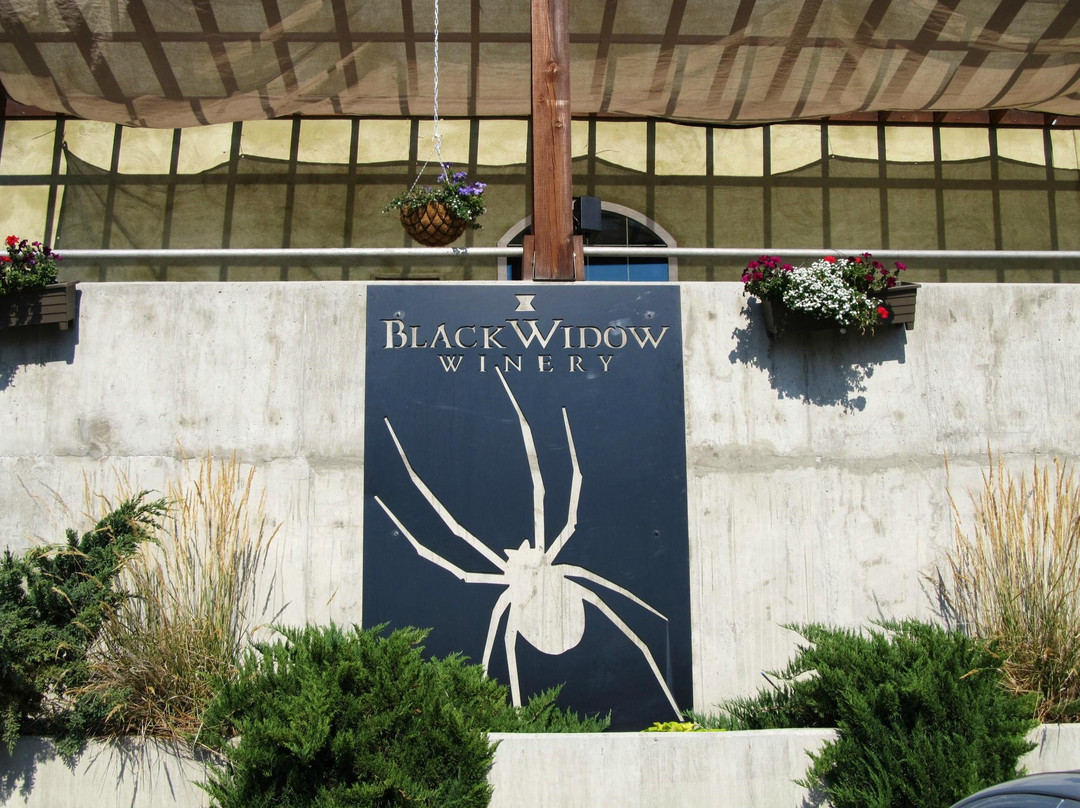 Black Widow Winery-彭蒂克顿必去景点