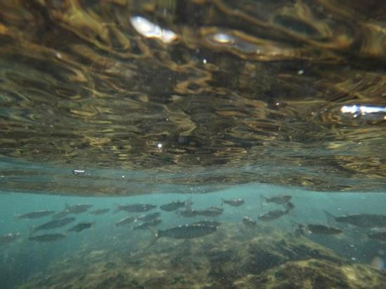 克洛夫利-悉尼必去景点