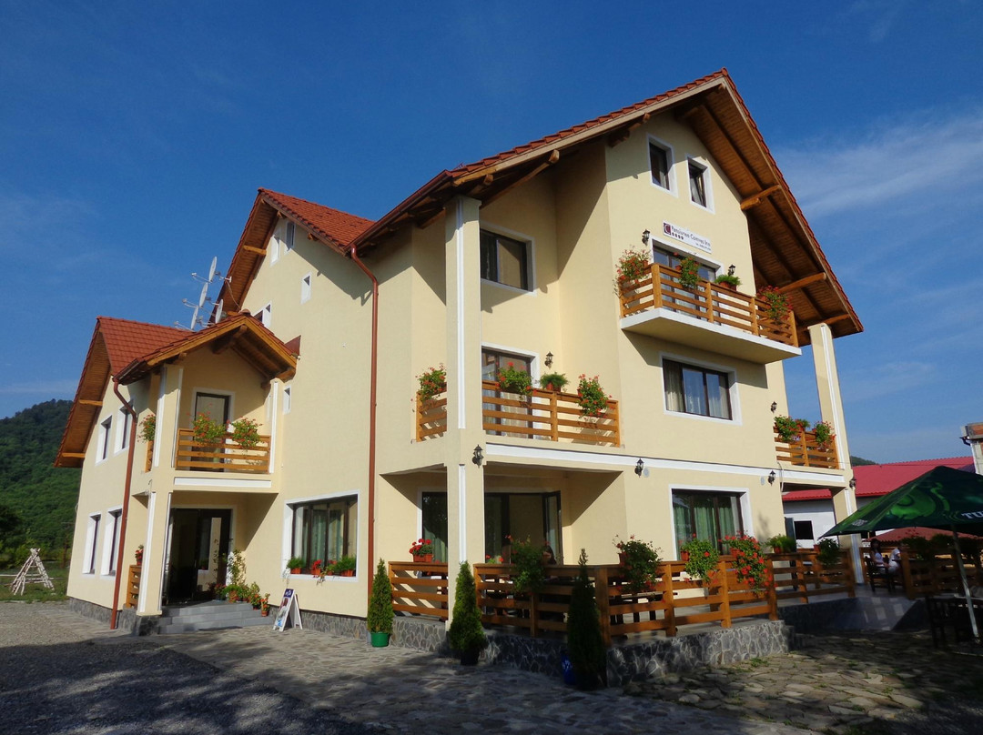 Sighetu Marmatiei酒店住宿-Camves Inn