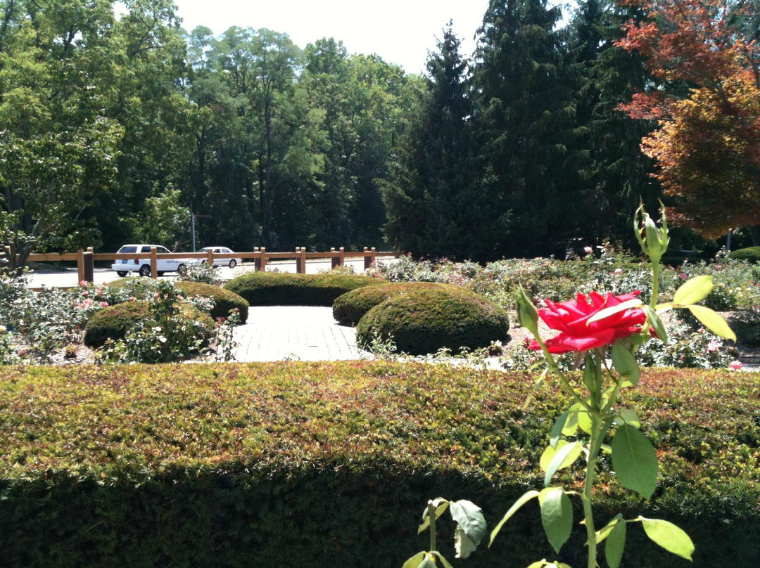 Rose Garden-里士满必去景点