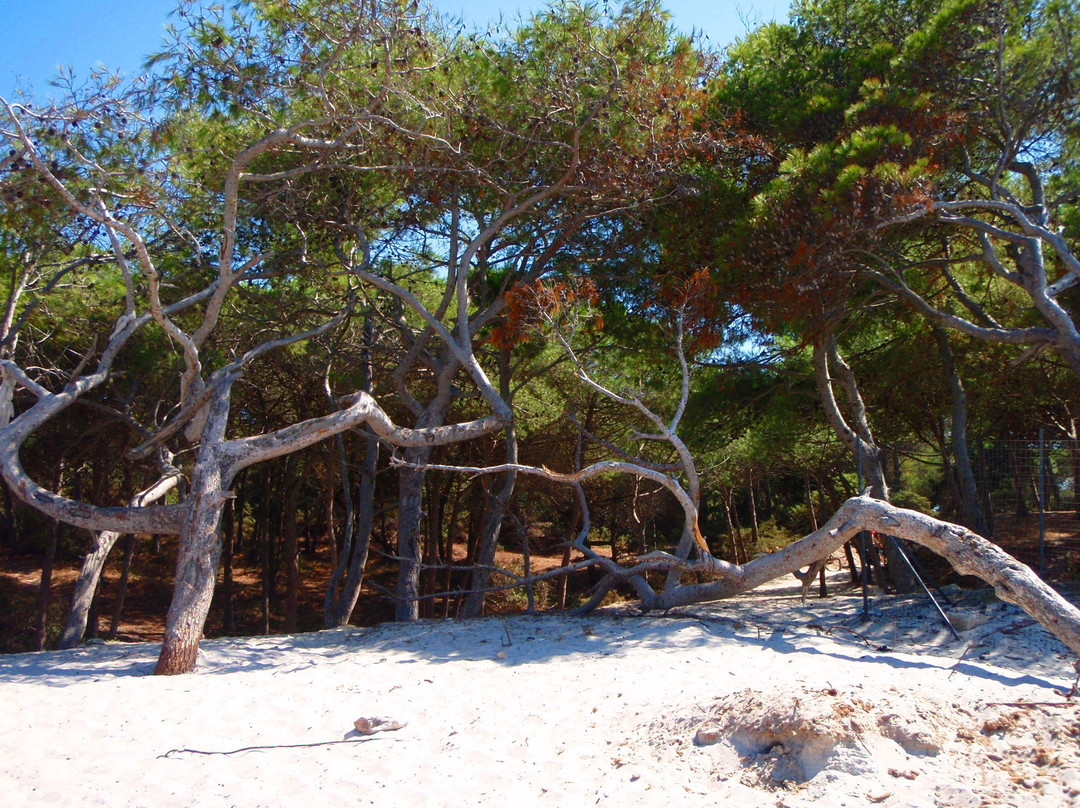 Spiaggia di Maria Pia-阿尔盖罗必去景点
