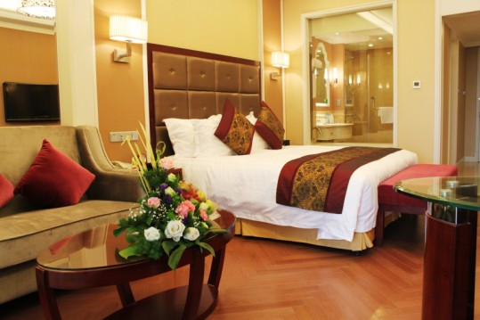 巢湖远洲豪廷大酒店主图