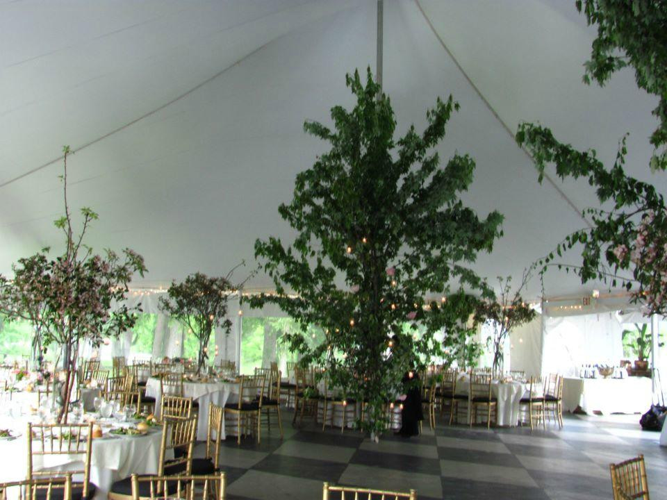 Belvedere Mansion主图