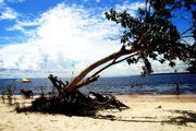 Praia do Tupe-玛瑙斯必去景点