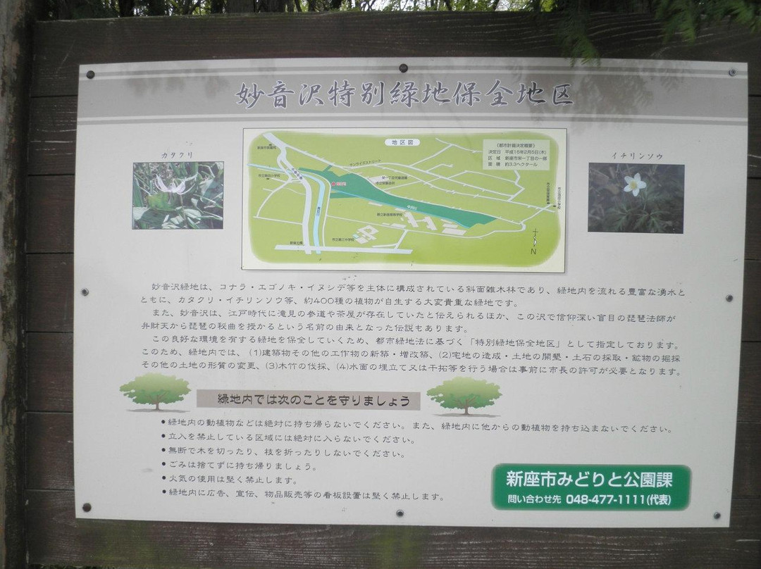 Myoonsawa Special Green Conservation Area-新座市必去景点