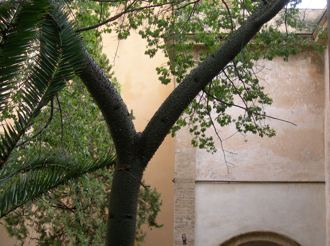 Oratorio di Santa Cita-巴勒莫必去景点