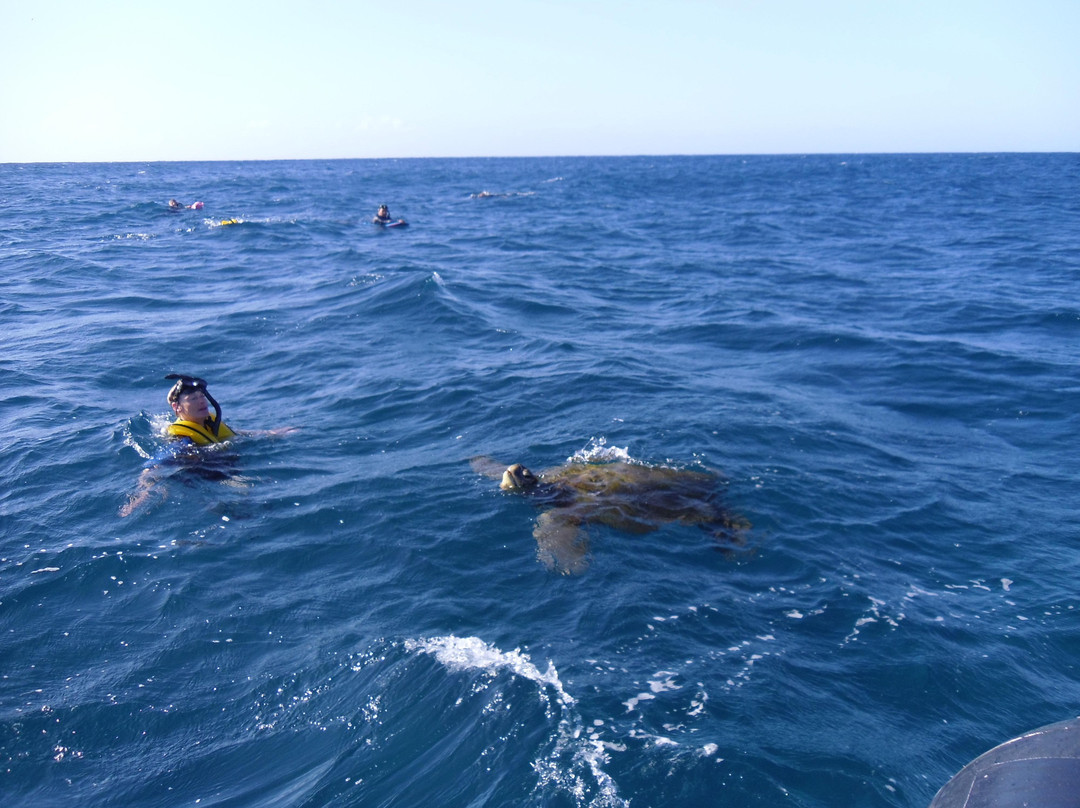 Z Tourz-可洛亚必去景点