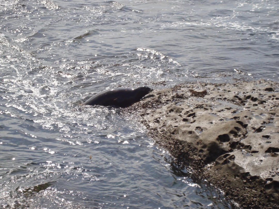 儿童泳池-拉荷亚必去景点