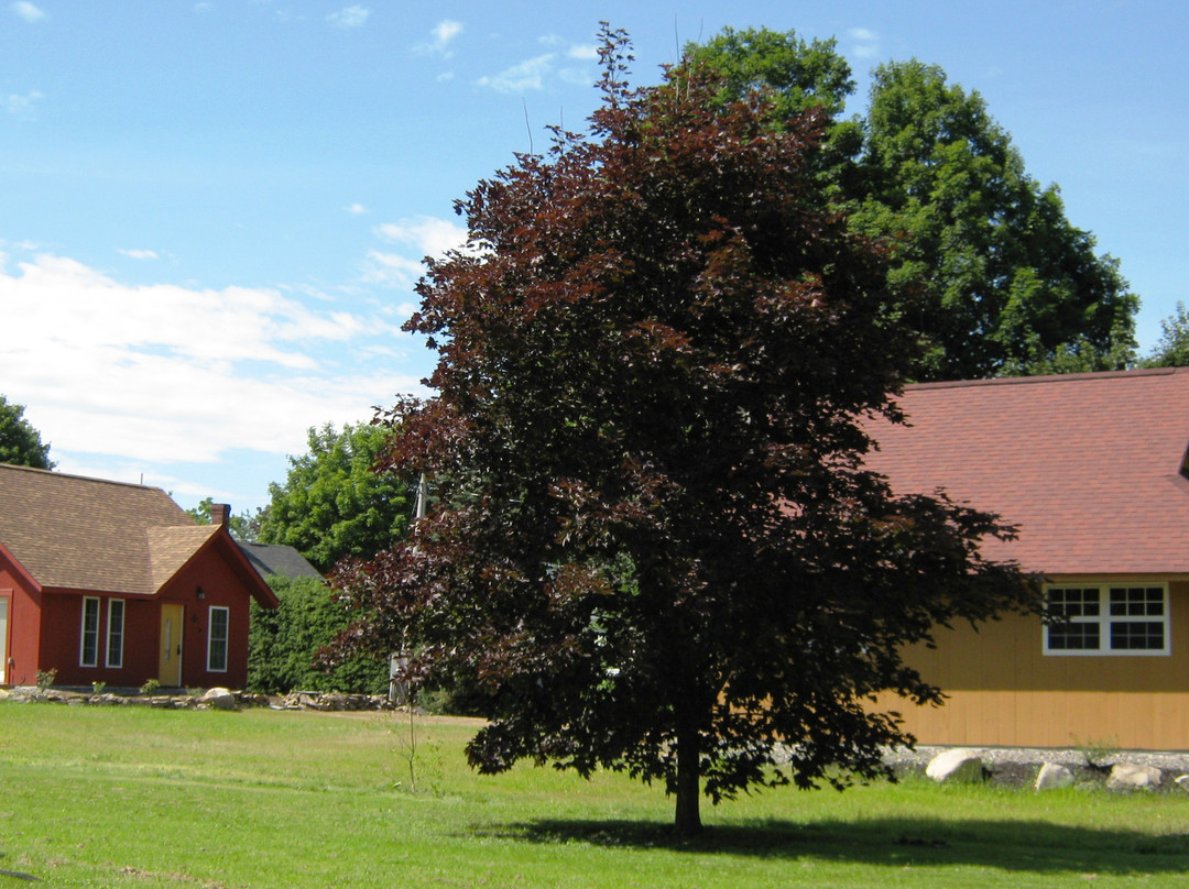 Executive Cottages LLC